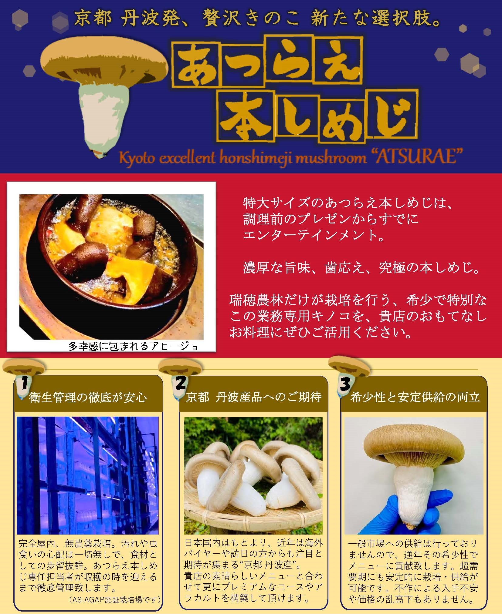 しめじ様 リクエスト 2点 まとめ商品 Simeji様 リクエスト 2点 まとめ