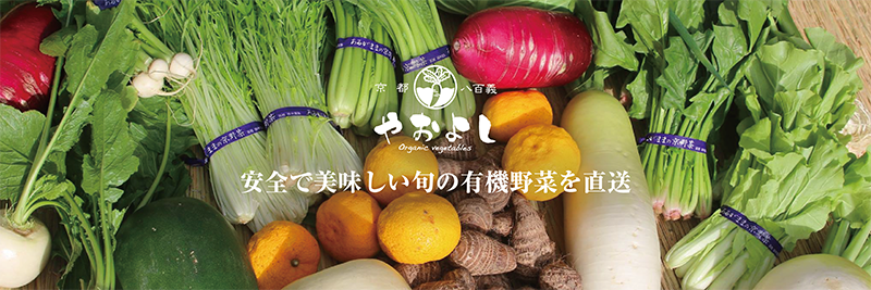 ふるさと納税 ＜有機野菜 京野菜の京都やおよし＞丹波産 野菜 ＆ 平飼い 有精卵 10玉P《オーガニック 有機JAS 栽培期間農薬不使用 減農薬 野菜  .. 京都府亀岡市 N07dyAX8UT, 食品 - www.seruun.mn