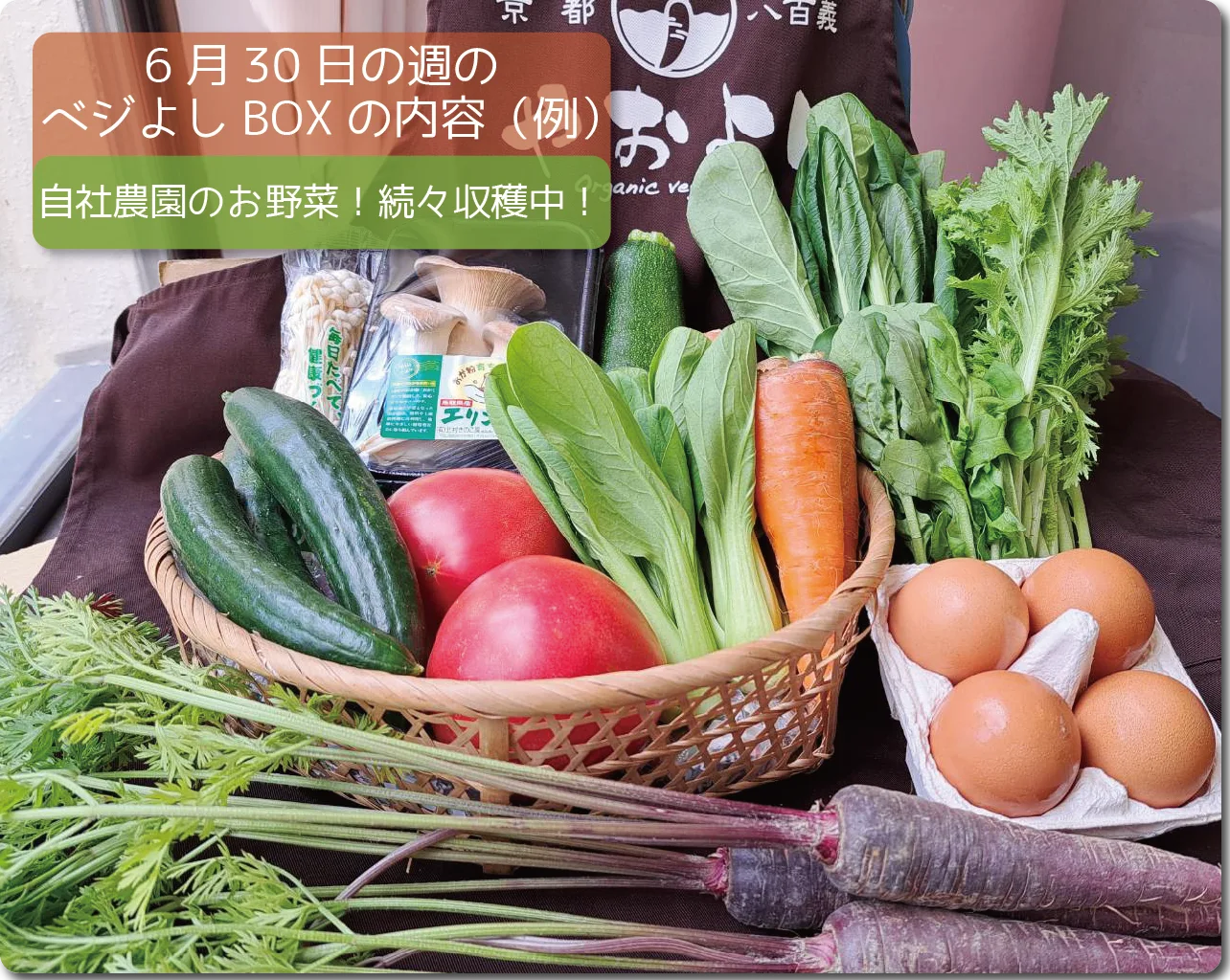 今週のベジよしBOX