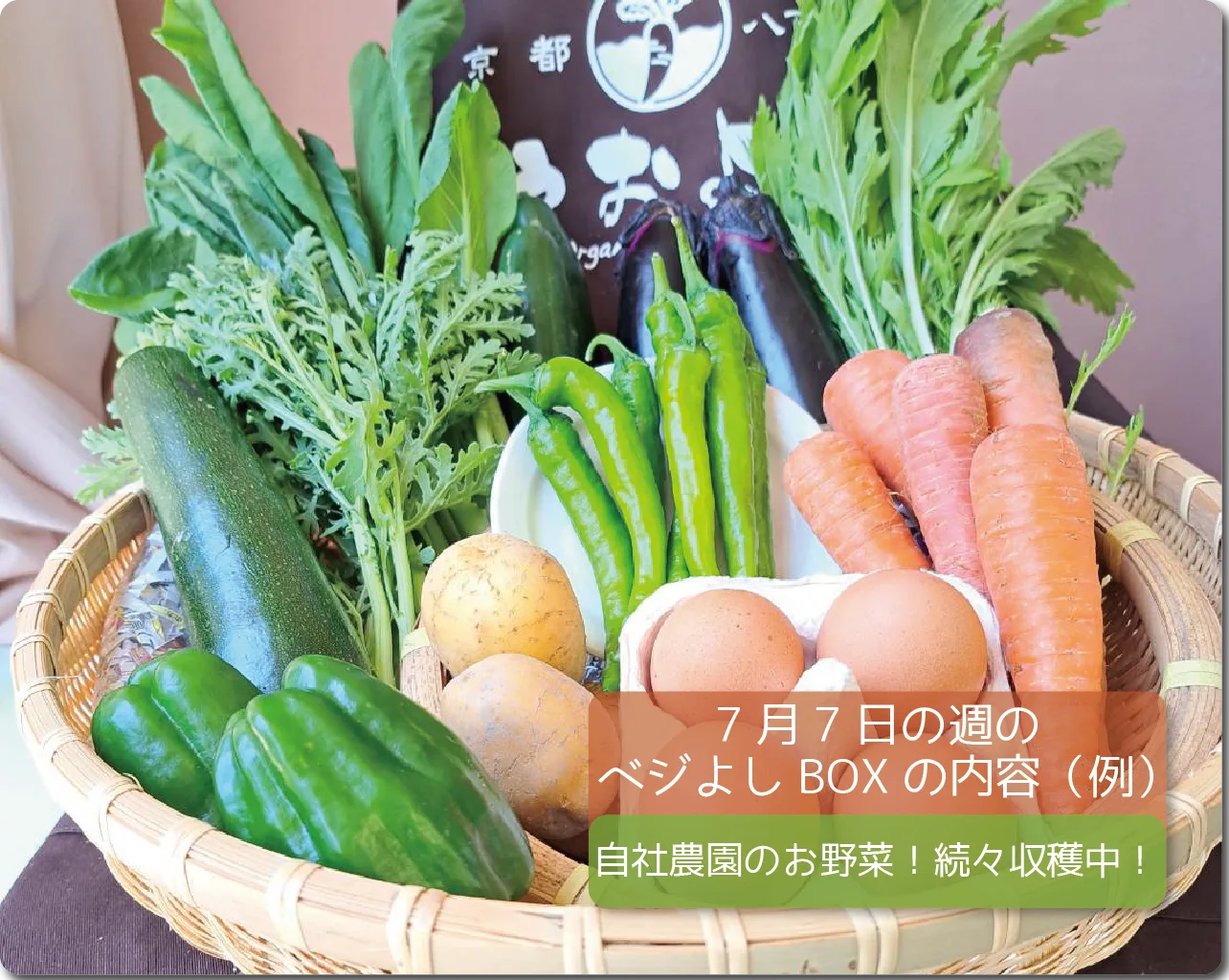 今週のベジよしBOX