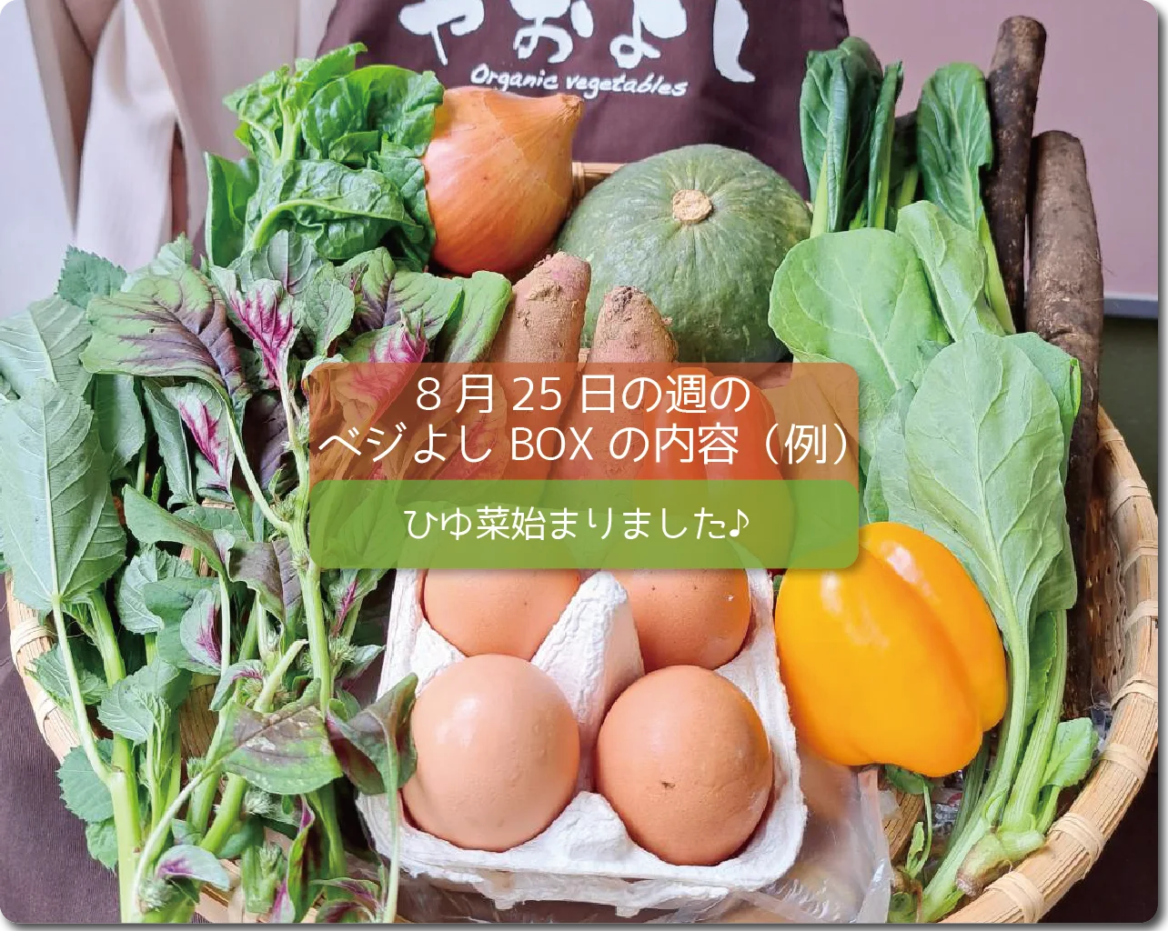 今週のベジよしBOXの予定