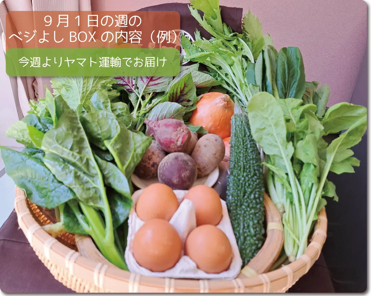 今週のベジよしBOX