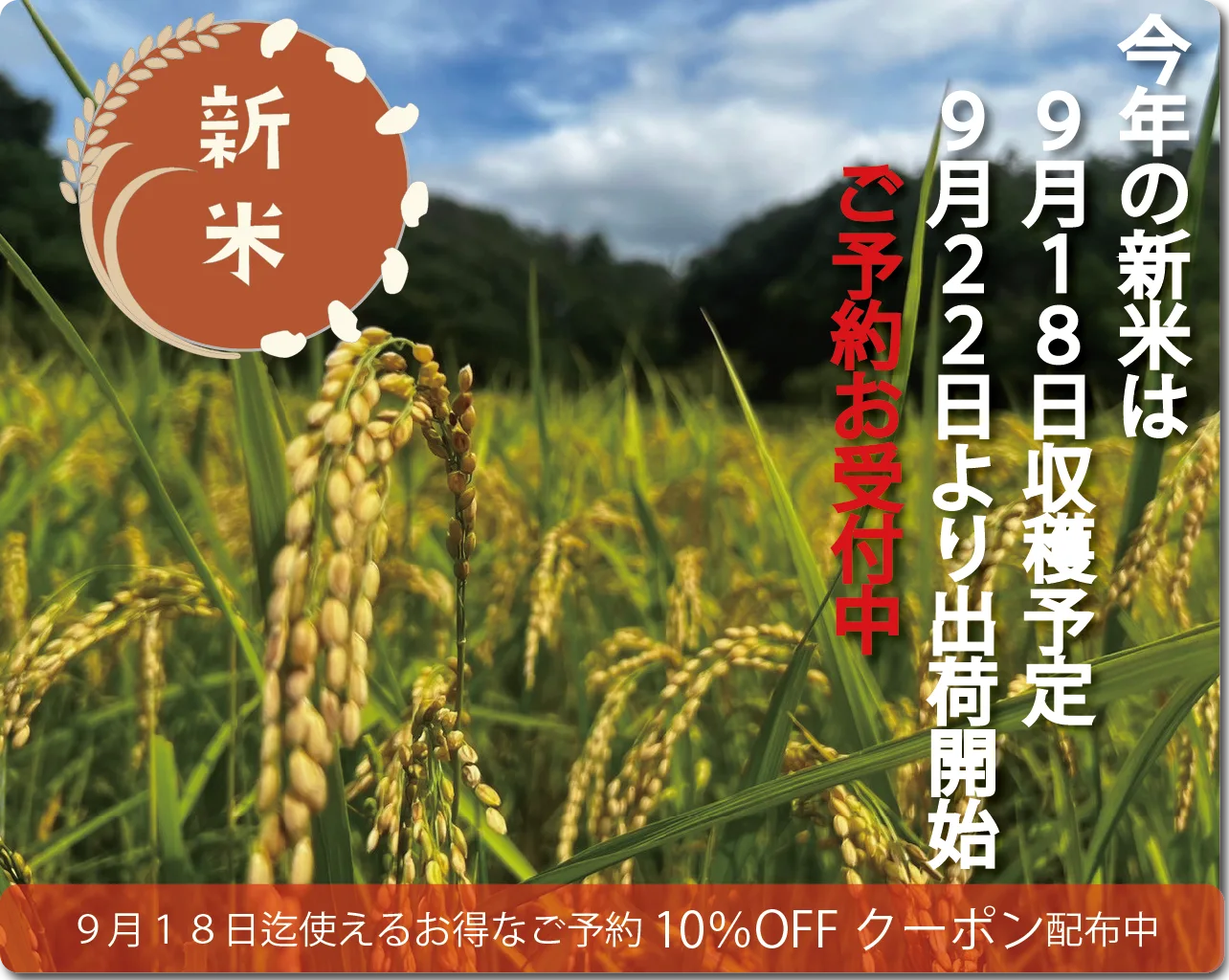 新米予約クーポン