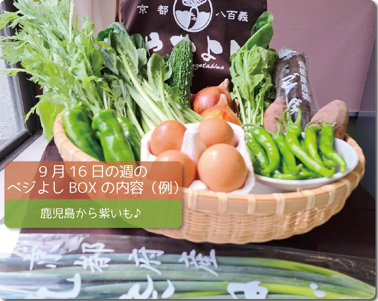 今週のベジよしBOX