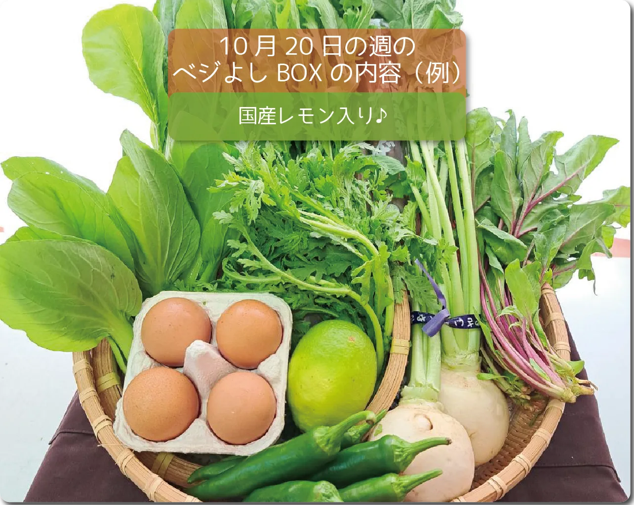 今週のベジよしBOXの予定