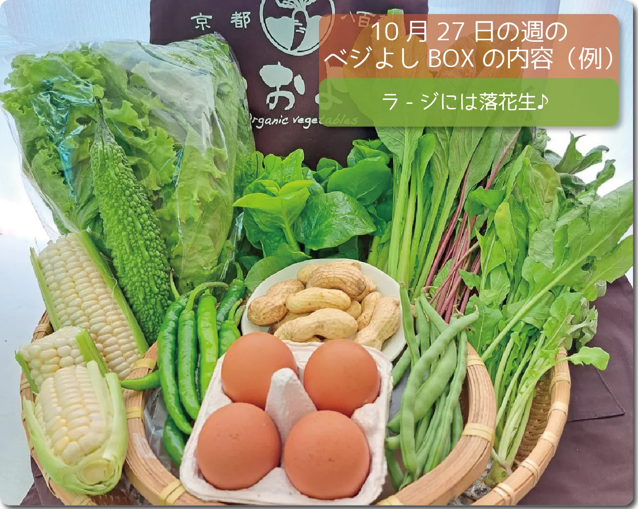 今週のベジよしBOX