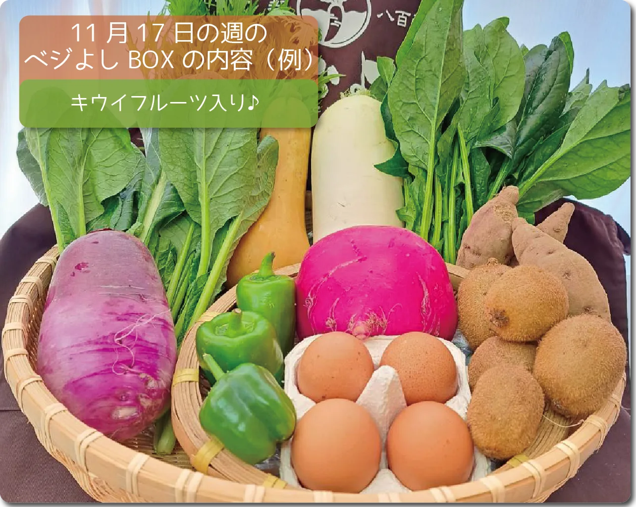 今週のベジよしBOXの予定