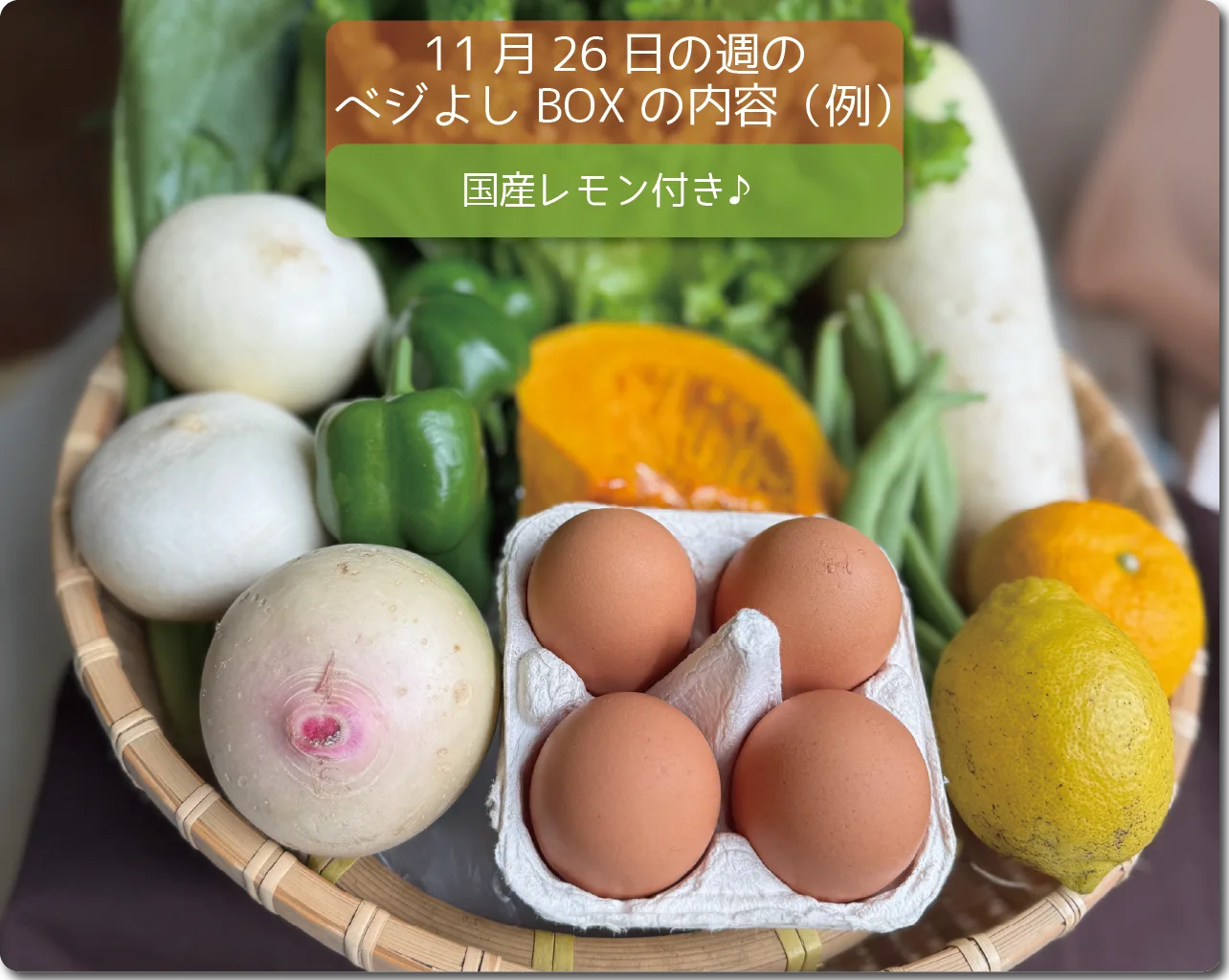 有機・無農薬お野菜の定期セット『ベジよしBOX』のご案内