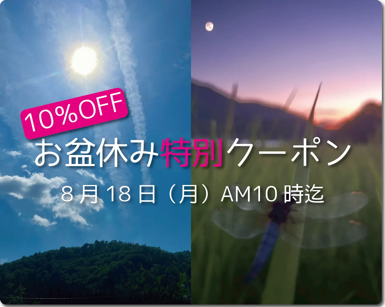 お盆・夏の10%OFFクーポン