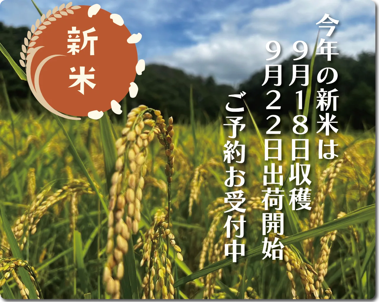 新米予約