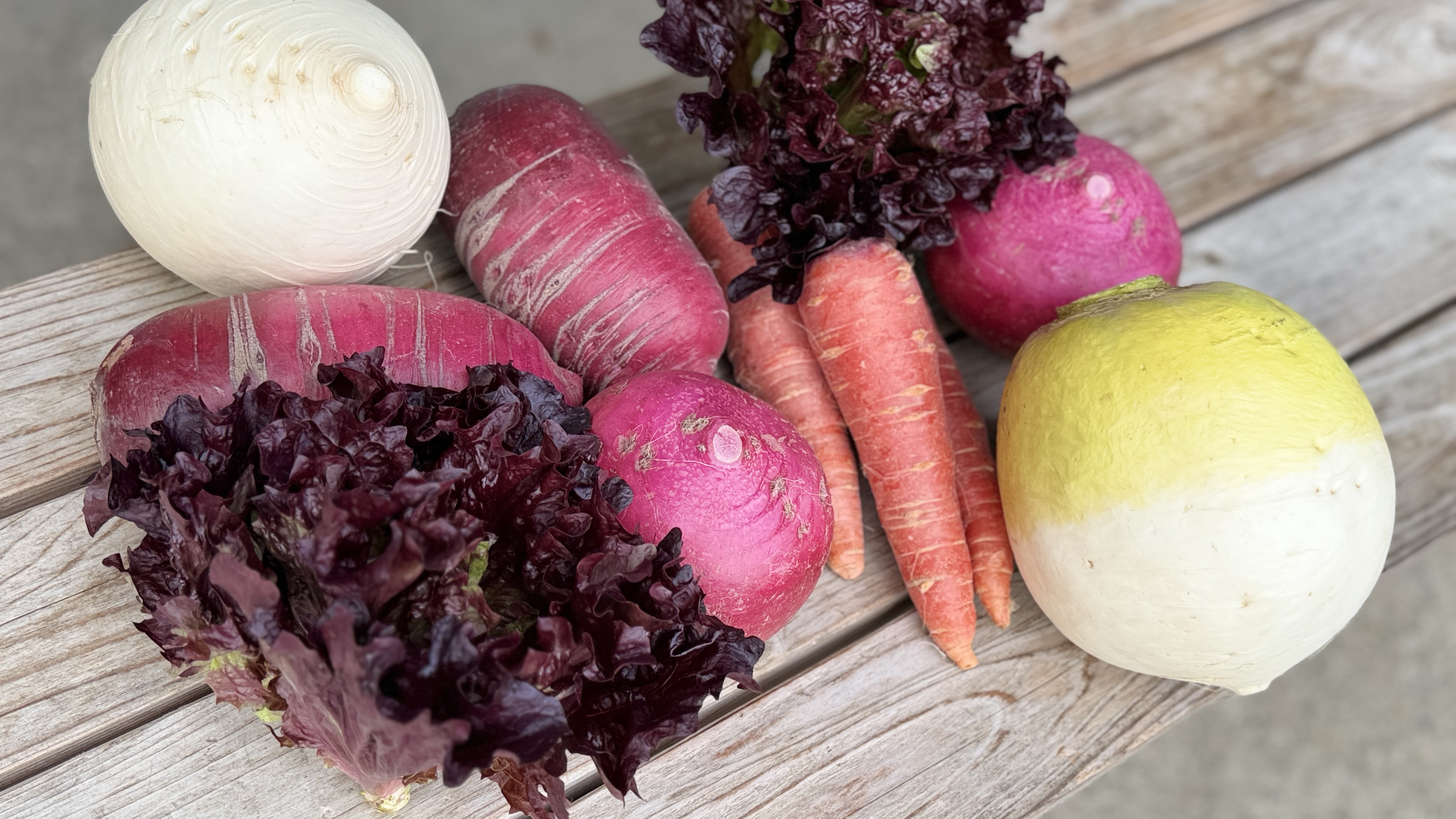 春の味覚さきどり 3連休準備クーポン