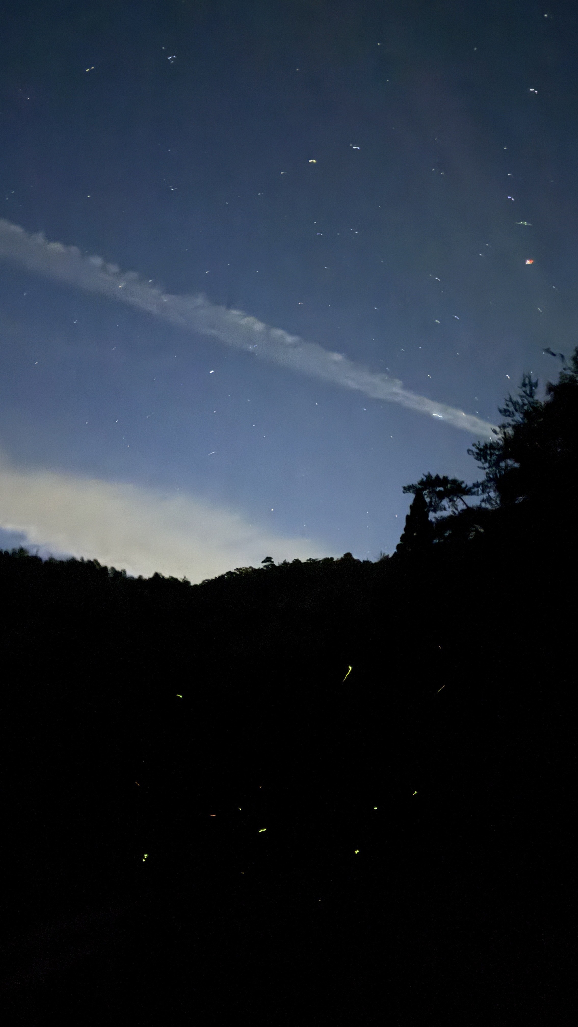 るり渓の夜を舞う、無数の蛍