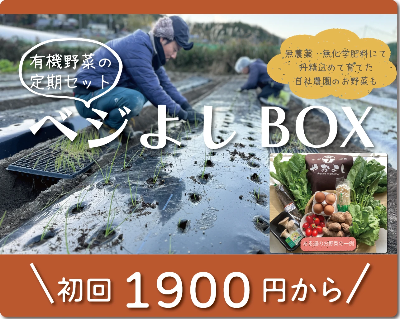 有機・無農薬お野菜の定期セット『ベジよしBOX』のご案内