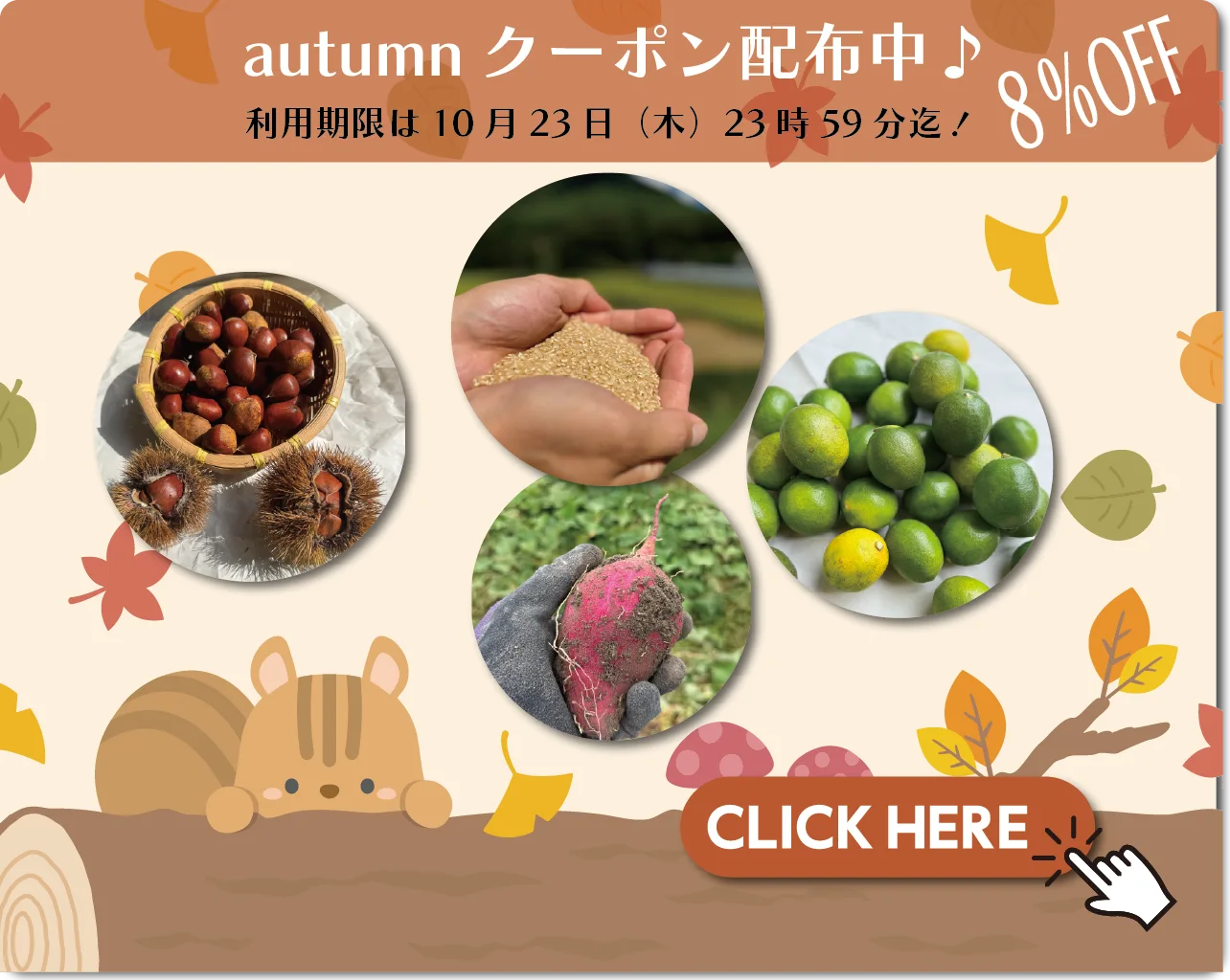 秋の８％OFFクーポン