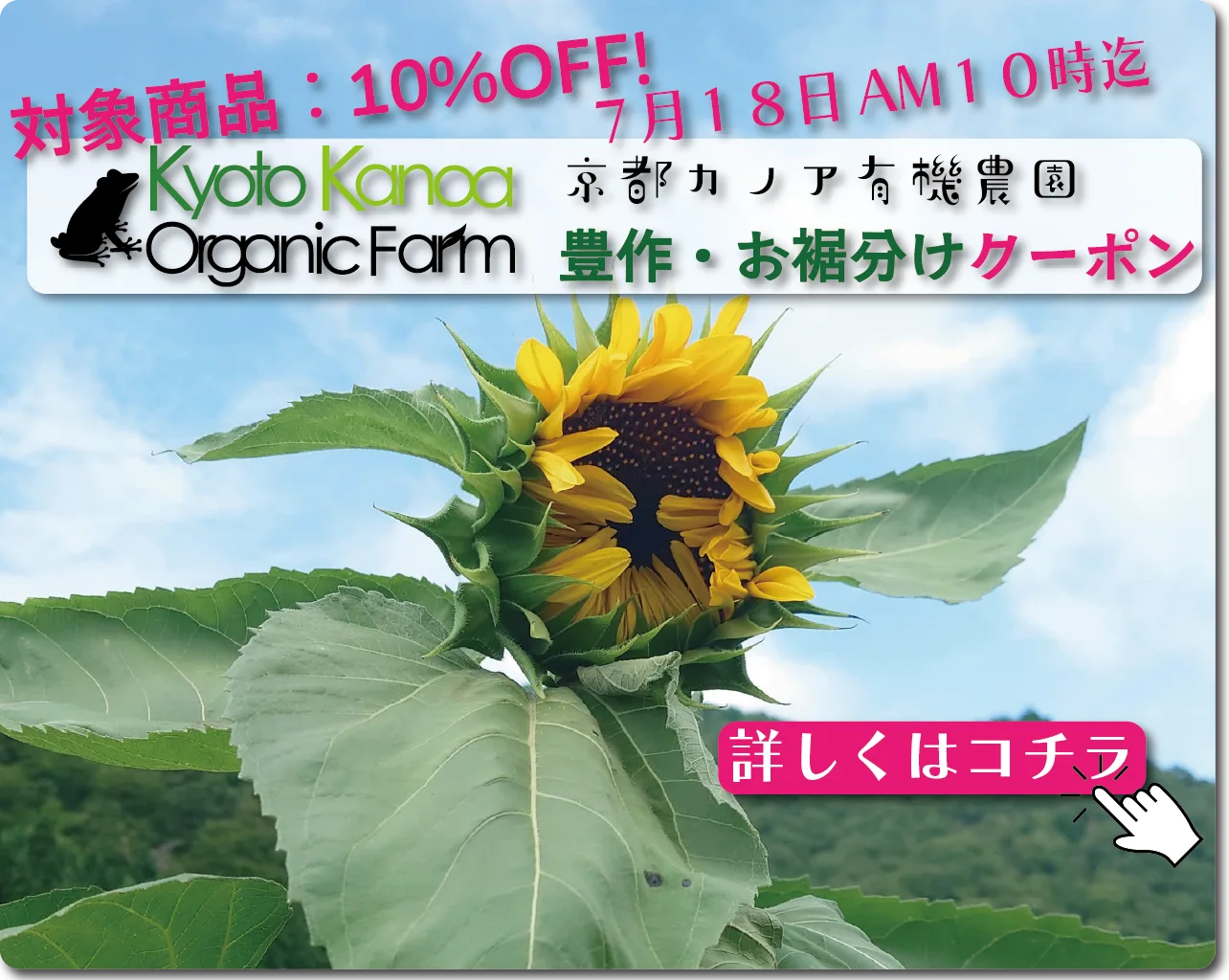 京都カノア有機農園｜豊作・お裾分けクーポン