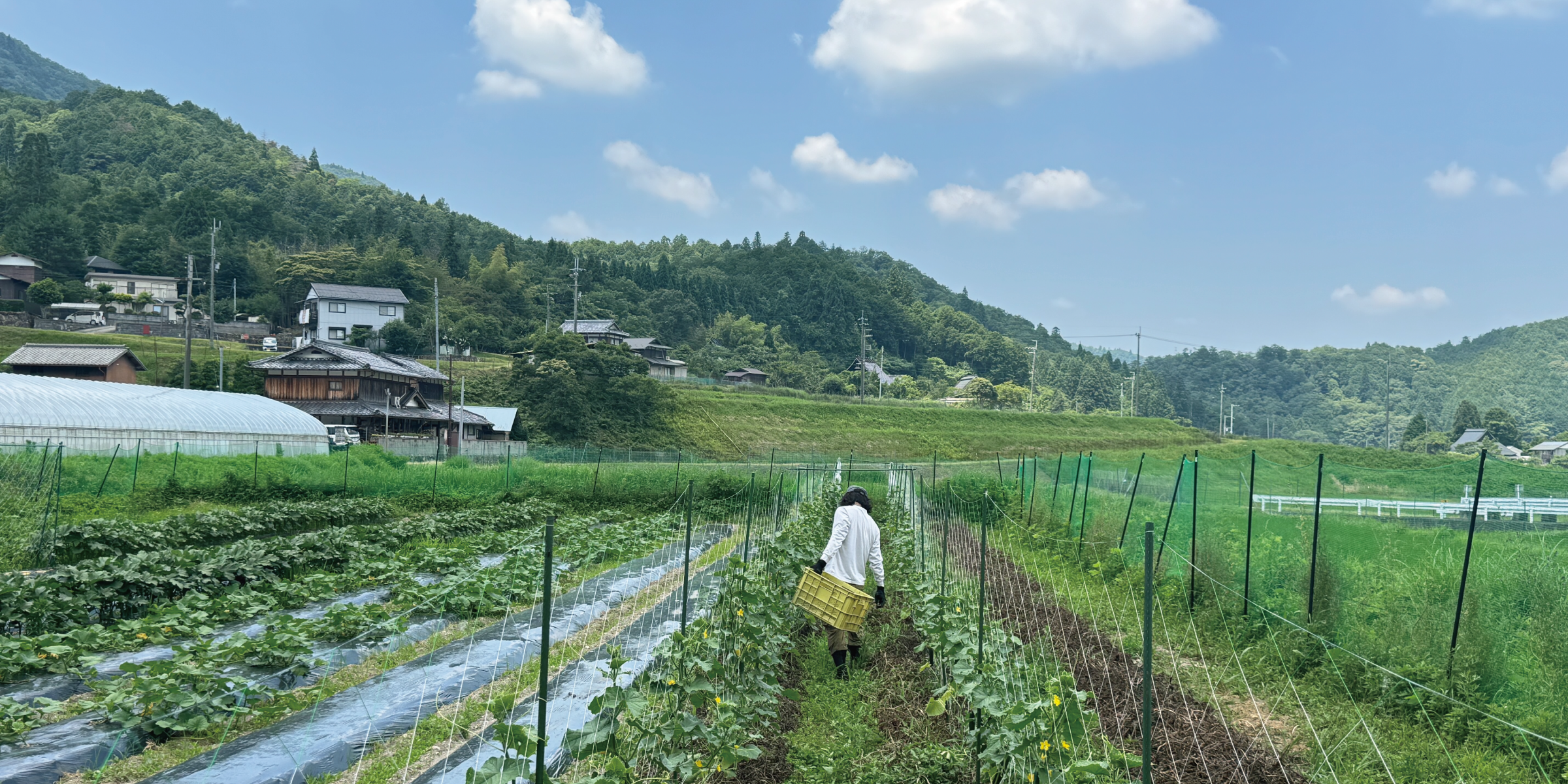 京都やおよしの想い