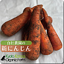 新にんじん