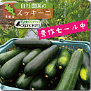 ズッキーニ