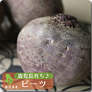赤ビーツ