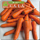 黒土育ちのにんじん