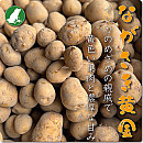 ながさき黄金(新じゃが)