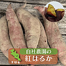 紅はるかさつまいも
