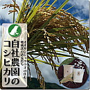 自社農園のお米コシヒカリ【送料無料対象外】