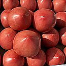 赤土とまと