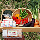 【金曜日当店出荷のみ!定期セット】べじよしBOX+美山の平飼い卵10玉P+美山牛乳5本【クーポン対象外】