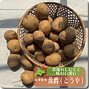 とうや