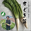 すぐき菜