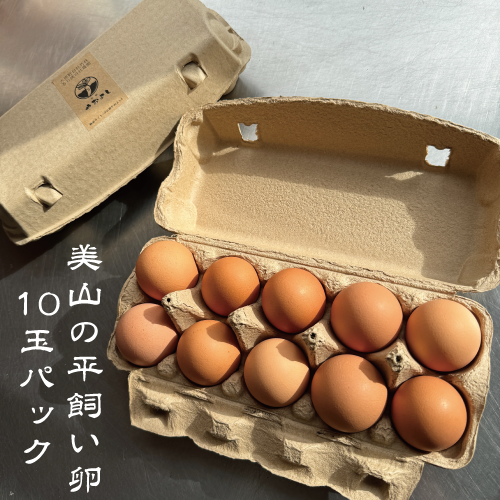 美山の平飼い卵　10玉入りパック
