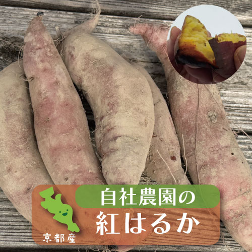 紅はるかさつまいも