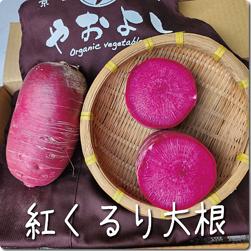 紅くるり大根