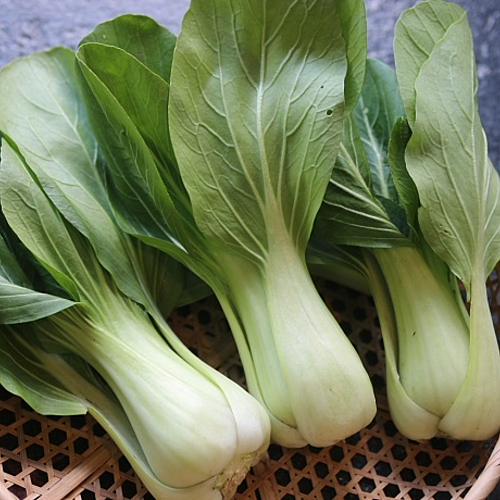 ミニチンゲン菜