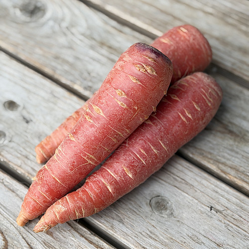 京くれない人参　1本