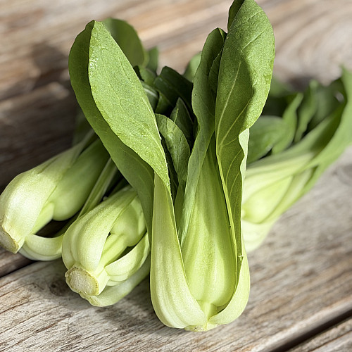 ミニチンゲン菜