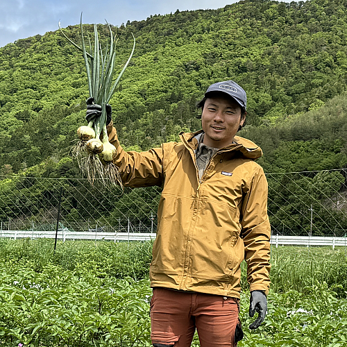 葉玉ねぎ