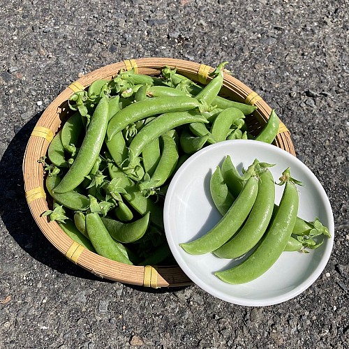 スナップエンドウ