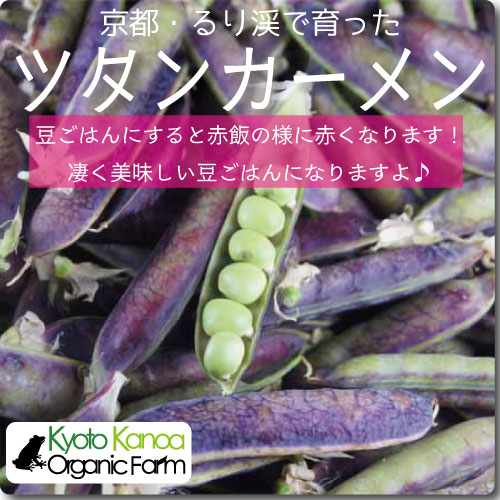 ツタンカーメン　約200g(さや付き)