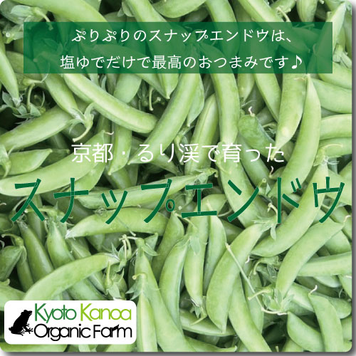 スナップエンドウ