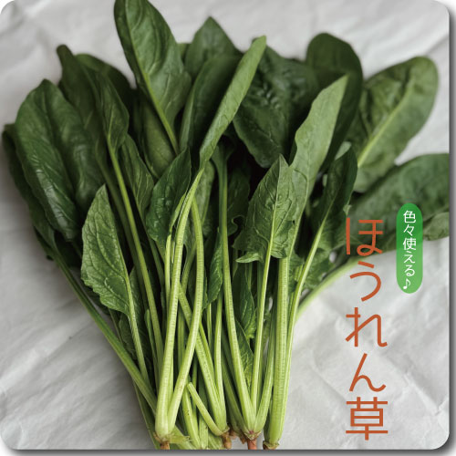ほうれん草