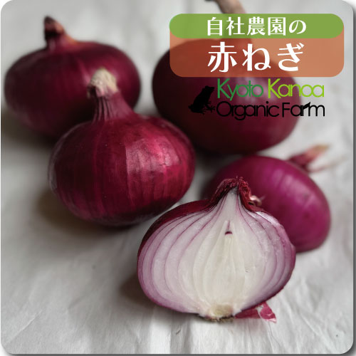 赤玉ねぎ
