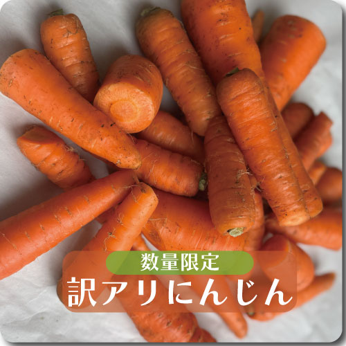 訳アリにんじん　約1Kg