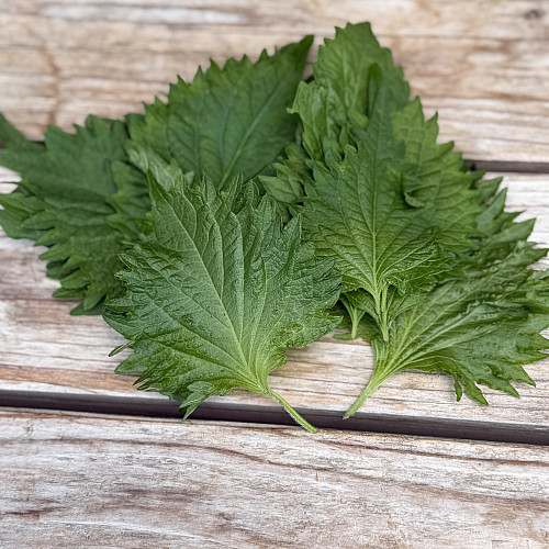 しその葉(大葉)