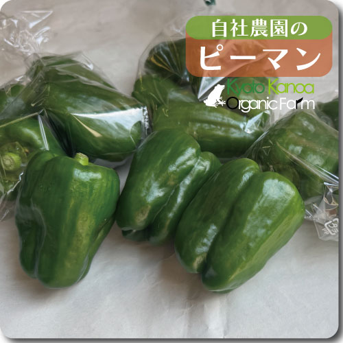 ピーマン