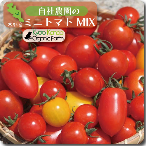 ミニトマトMIX