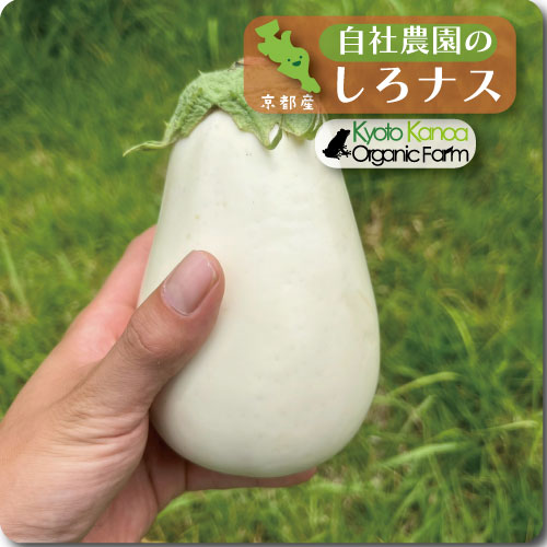 白なす