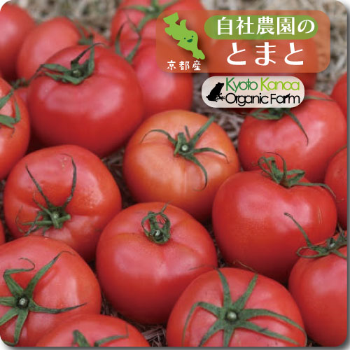 トマト