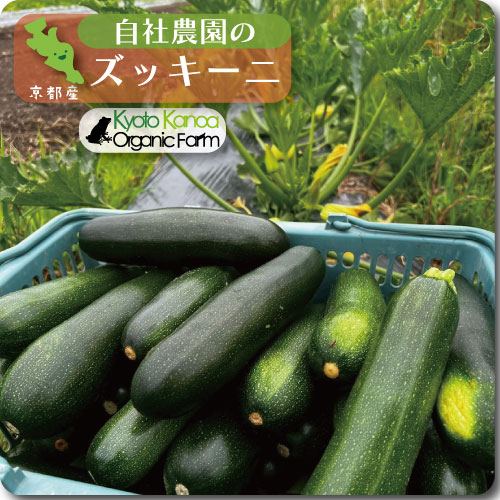 ズッキーニ